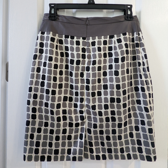 Baraschi (Anthropologie) Silk Skirt, Size 2 - Picture 2 of 4